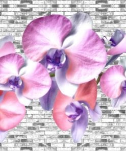 Fototapet med motivet: Blommor Orkidéer Textur