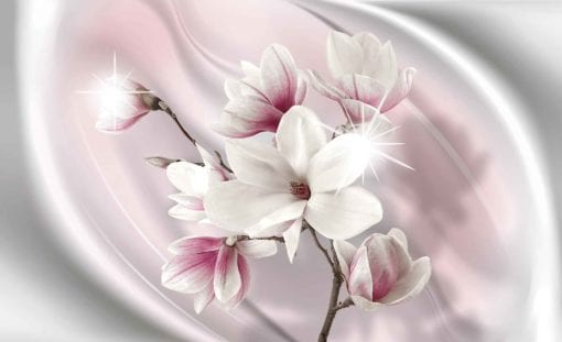 Fototapet med motivet: Blomma Magnolia