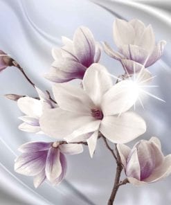 Fototapet med motivet: Blomma Magnolia