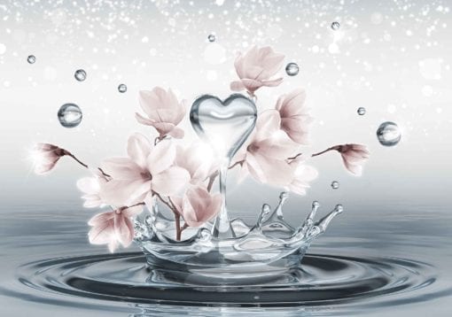 Fototapet med motivet: Blommor Vattendroppar Hjärta