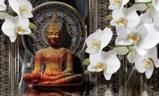 Fototapet med motivet: Buddha Zen Blommor Orkidéer Mandala