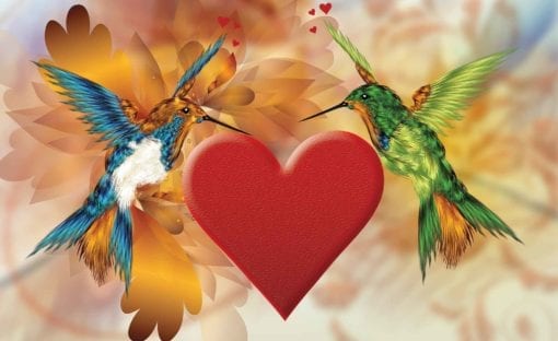 Fototapet med motivet: Fåglar Kolibri Hjärta Blommor