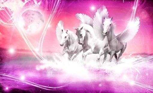 Fototapet med motivet: Hästen Pegasus Rosa