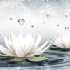 Fototapet med motivet: Vit Lotus droppar Hjärtas Vatten